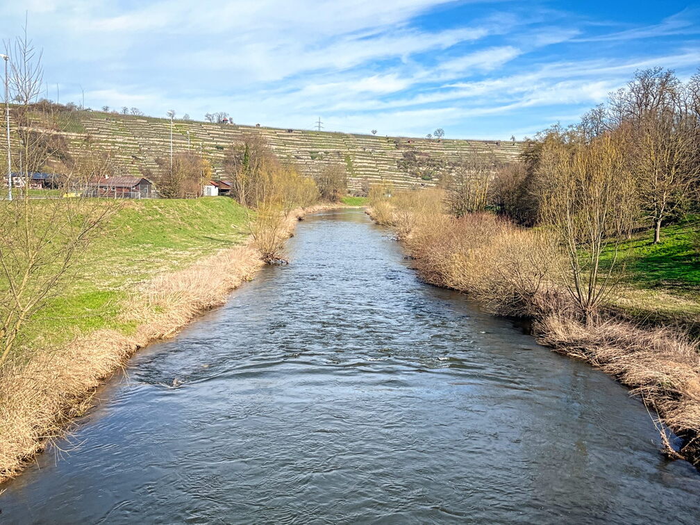 23-03-17 10-14-56 4873